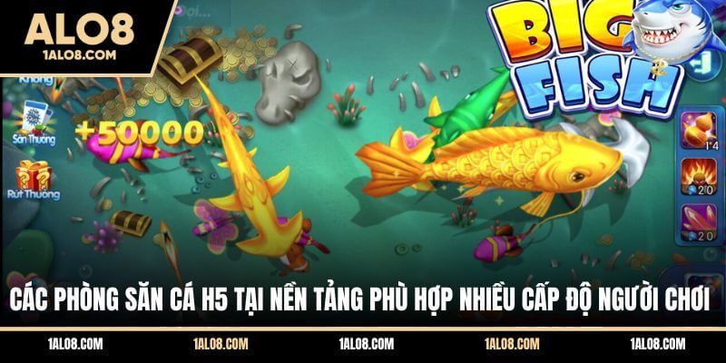 Bắn Cá H5 ALO8 - Game Săn Thưởng Với Đồ Họa Sống Động Các phòng săn cá H5 tại nền tảng phù hợp nhiều cấp độ người chơi