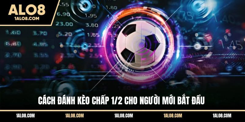 Kèo 1/2 Là Gì? Cách Đánh Kèo 0.5 Trái Dễ Thắng Nhất Cách đánh kèo chấp 1/2 cho người mới bắt đầu