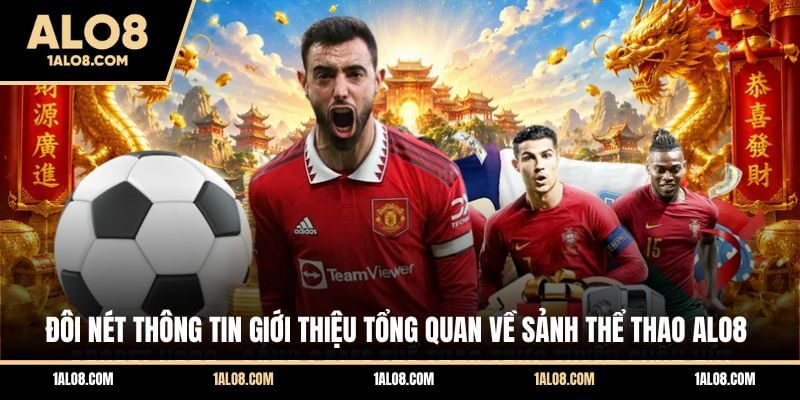 Đôi nét thông tin giới thiệu tổng quan về sảnh thể thao ALO8