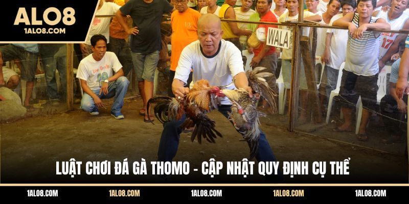 Luật Chơi Đá Gà Thomo - Cập Nhật Quy Định Cụ Thể Luật Chơi Đá Gà Thomo - Cập Nhật Quy Định Cụ Thể