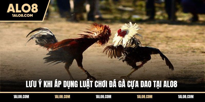 Luật Chơi Đá Gà Cựa Dao Chuẩn Từ A - Z Cho Người Mới Lưu ý khi áp dụng luật chơi đá gà cựa dao tại ALO8