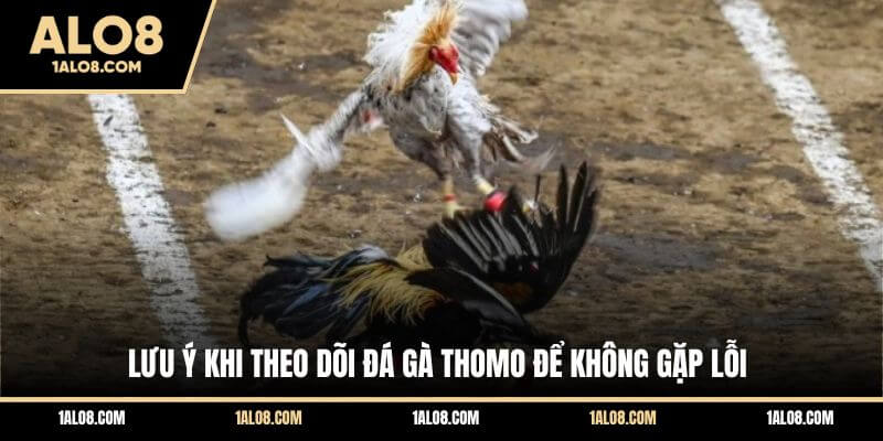 Luật Chơi Đá Gà Thomo - Cập Nhật Quy Định Cụ Thể Lưu ý khi theo dõi đá gà Thomo để không gặp lỗi