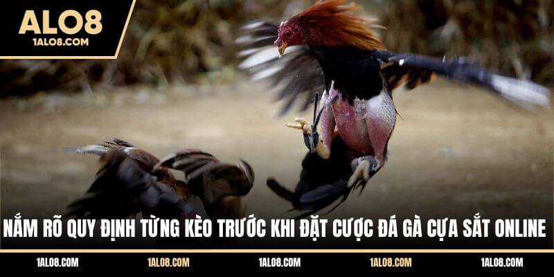 Luật Chơi Đá Gà Cựa Sắt Chi Tiết Trên Mọi Sàn Đấu Nắm rõ quy định từng kèo trước khi đặt cược đá gà cựa sắt online
