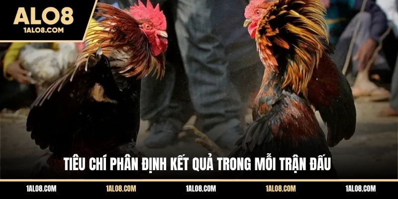 Luật Chơi Đá Gà Cựa Sắt Chi Tiết Trên Mọi Sàn Đấu Tiêu chí phân định kết quả trong mỗi trận đấu