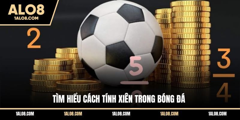 Cách Tính Xiên Trong Bóng Đá Chuẩn Xác Cho Người Mới Tìm hiểu cách tính xiên trong bóng đá