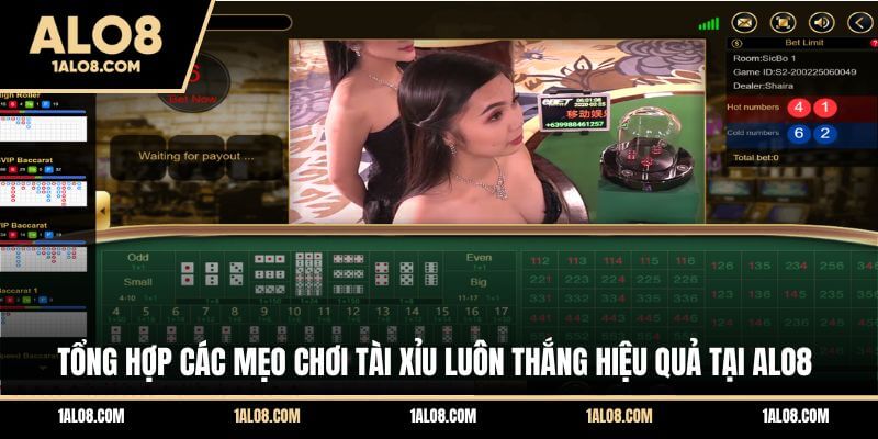 Mẹo Chơi Tài Xỉu Luôn Thắng - 06 Bí Kíp Dự Đoán Chuẩn Tổng hợp các mẹo chơi Tài Xỉu luôn thắng hiệu quả tại ALO8