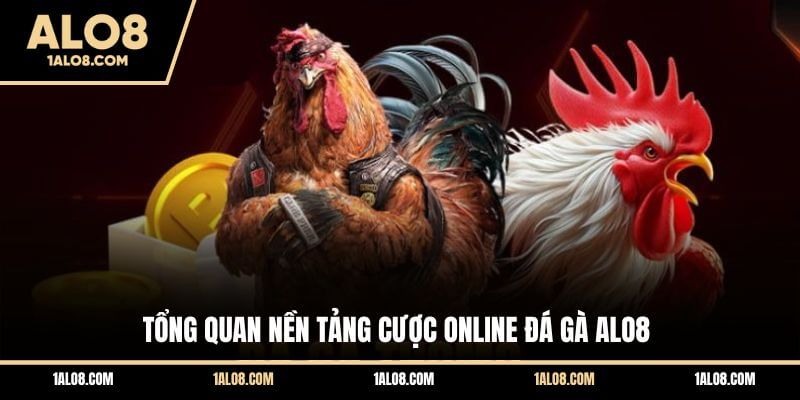Tổng quan nền tảng cược online đá gà ALO8