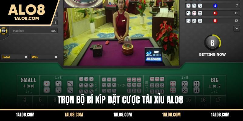 Cách Chơi Tài Xỉu Alo8 Đơn Giản Cho Newbie Trọn bộ bí kíp đặt cược Tài Xỉu ALO8